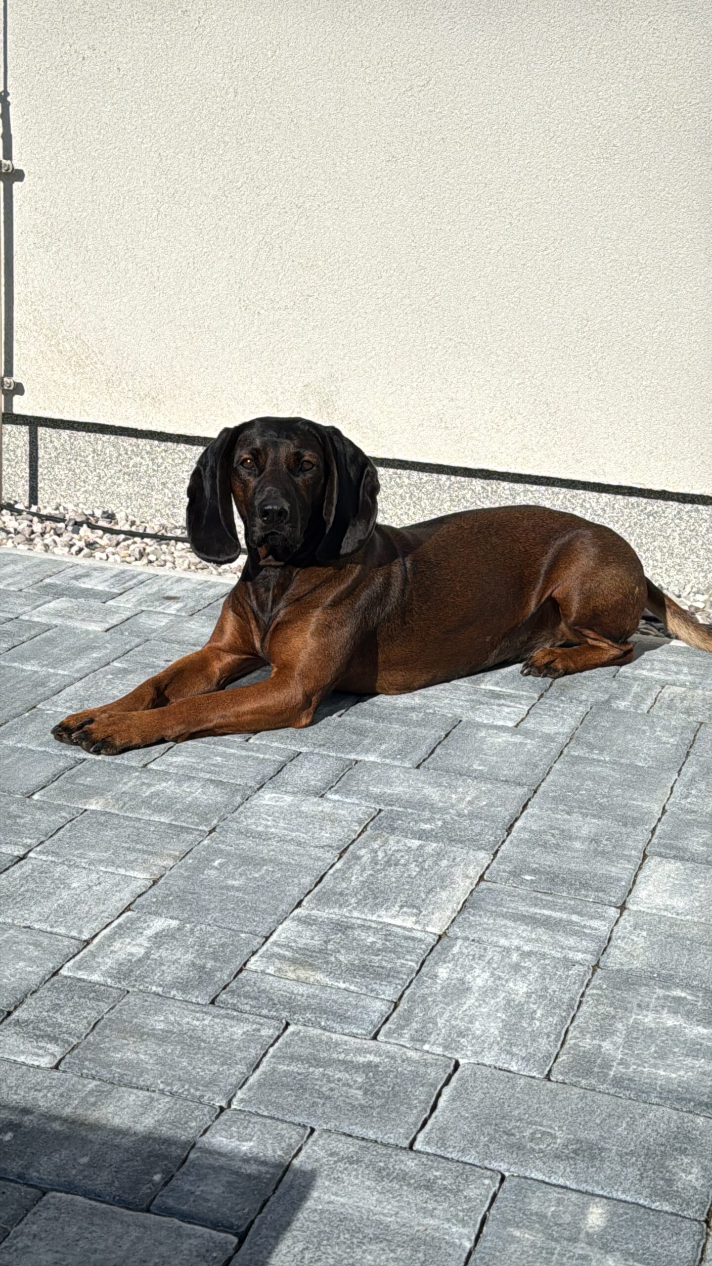 8C2A4CA3-9B21-48B9-A598-EAAED37B59D0